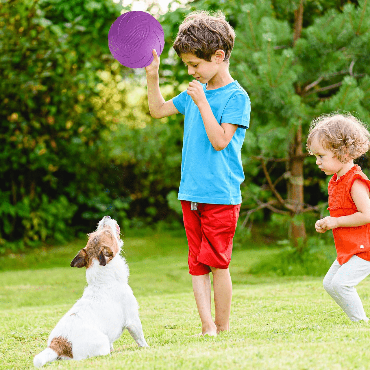 Frisbee Chien - FlyingDiscToys™ - Violet - Monchienmoncoeur