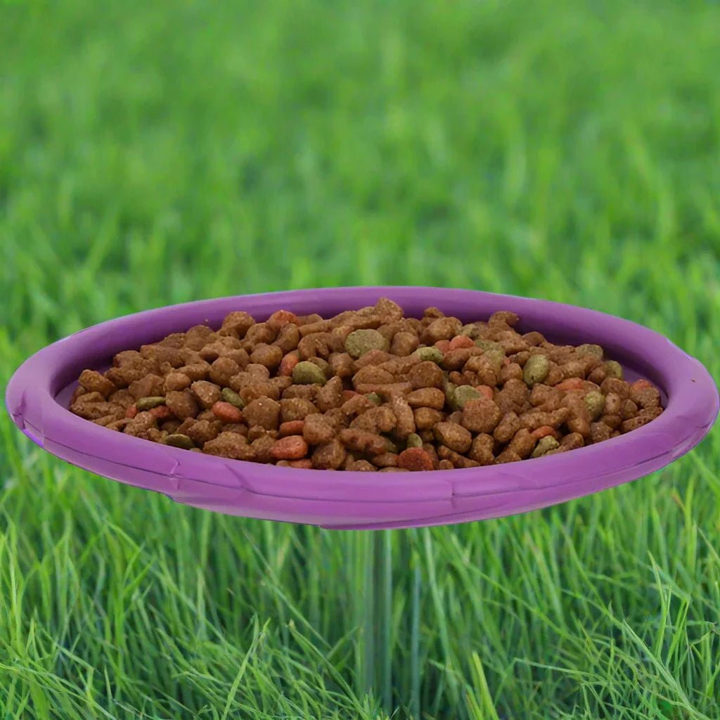 Frisbee Chien - FlyingDiscToys™ - Violet - Monchienmoncoeur