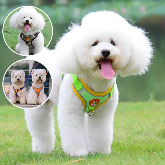 harnais pour chien - Monchienmoncoeur