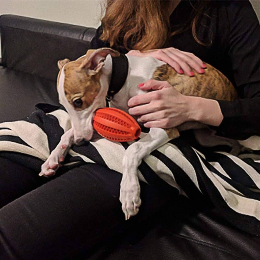 Jouet Interactif pour Chien - ChewBounceBall™ - Rouge - Monchienmoncoeur